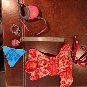 Red and White XS fleece Dog PJs with small dog accessories